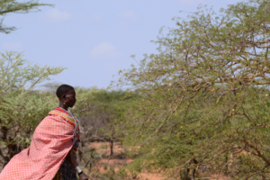 Laikipia, Kenya